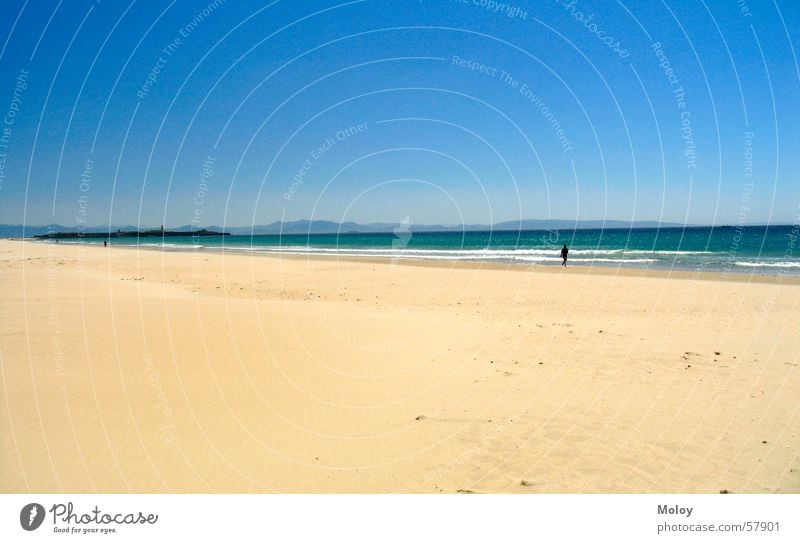 LonelyMan Strand Atlantik Meer Spaziergang Spanien Andalusien Tarifa Sommer Ferien & Urlaub & Reisen Ferne Himmel Sand Wind