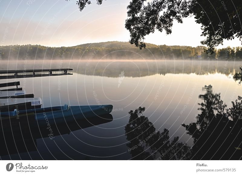 Stille liegt über dem See... Freizeit & Hobby Ferien & Urlaub & Reisen Ausflug Umwelt Natur Landschaft Tier Urelemente Wasser Himmel Sonnenaufgang