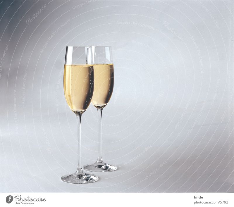 sekt Glas Sekt Prosecco Getränk Weißwein Alkohol Feste & Feiern Valentinstag