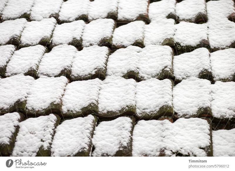 Winterliches Dach Ziegel Ziegeldach Schnee kalt Formen hell und dunkel Schatten Linien grafisch Strukturen & Formen Linien und Formen Muster