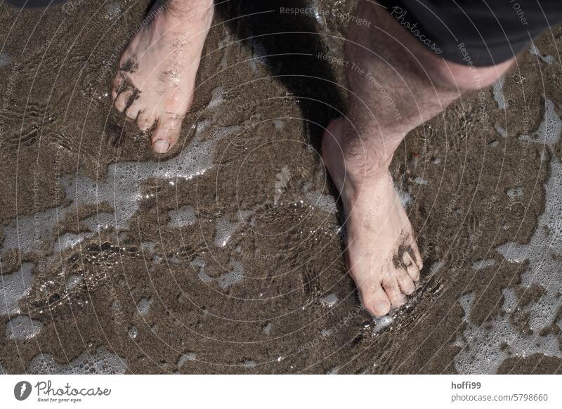 Füße im seichten Wasser am Strand Barfuß Beine Zehen Meer umspült Sommer Gischtwasser Wellen Sand stehen Haut Fuß Erholung Ferien & Urlaub & Reisen erholung