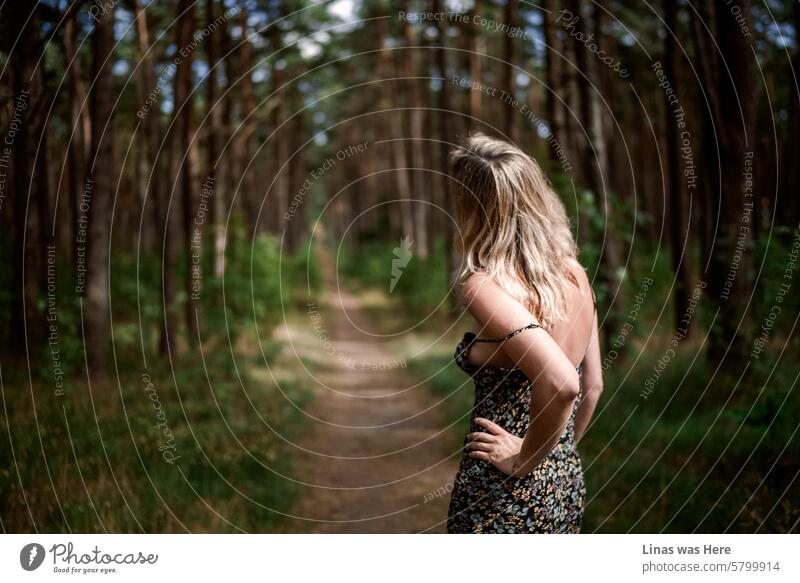 Ein wunderschönes blondes Mädchen in einem leichten Sommerkleid geht an einem perfekten Sommertag diesen Waldweg entlang. Umgeben von der Schönheit der Natur. In Nida, Litauen.
