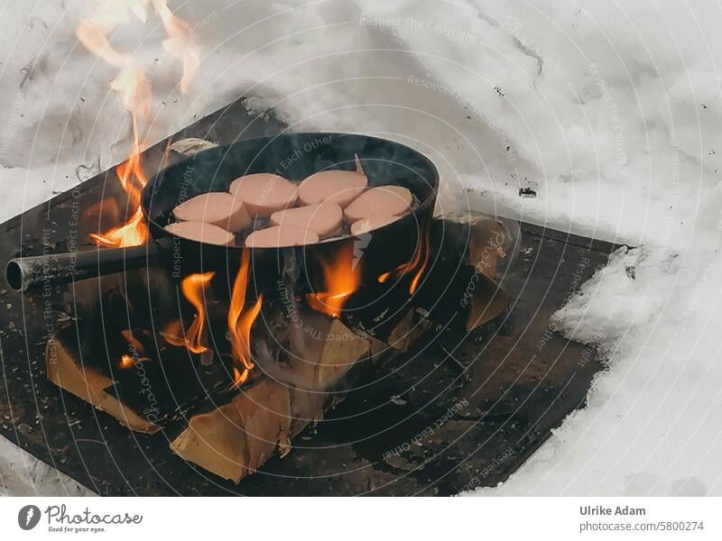 Lappland 3.0 Feuerholz schwedisch traditionell Tradition Falu-Wurst Falukorv Pfanne Feuerstelle Lagerfeuer Schweden Europa Schnee Winter Natur Außenaufnahme