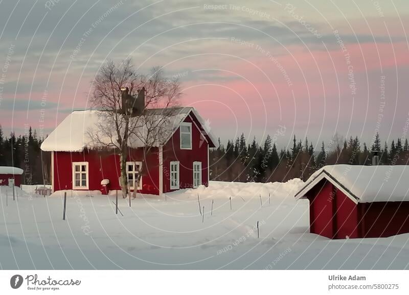 Lappland 2.0 Landschaft Naturwunder Stille Morgenrot Sonnenaufgang Freiheit Traumhaft Sonnenlicht Idyllisch Licht Tourismus Winterurlaub Skandinavien