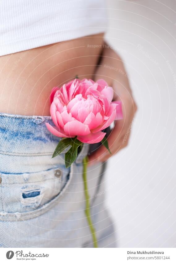 rosa Pfingstrose in der Hand in der Nähe von Haut und Jeans auf attraktive junge Frau, Stil Mode und Lifestyle, weibliche Intimpflege Gesundheitswesen Blume