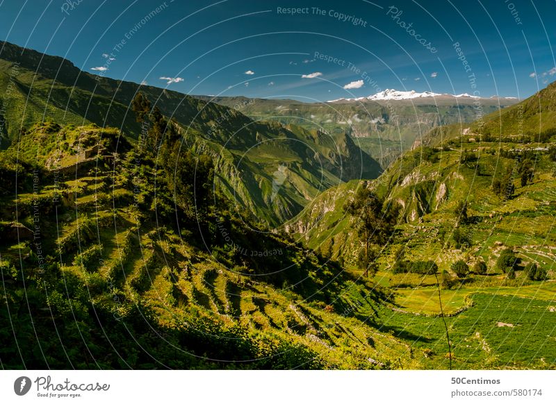 Grüne Berge rund um eine Schlucht in Peru Ferien & Urlaub & Reisen Abenteuer Ferne Freiheit Sommer Sommerurlaub Berge u. Gebirge wandern Umwelt Landschaft