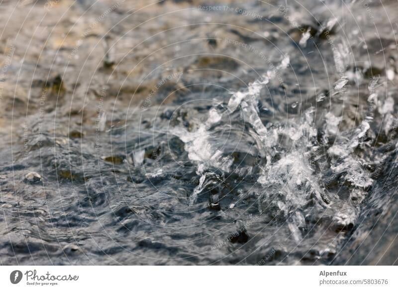 sprichwörtlich | Sturm im Wasserglas | Glückauf! Überschwemmung nass Wetter Hochwasser Regen Wassertropfen Überflutung unruhiges Wasser Flut unruhige See