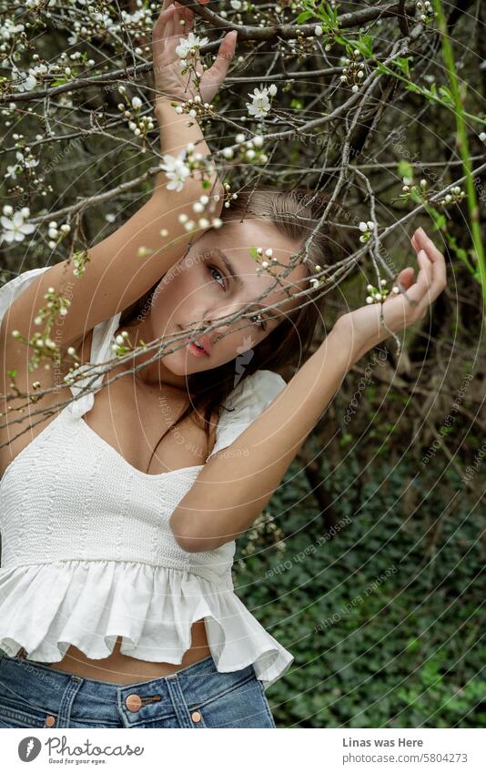 Ein wildes Mädchen inmitten eines Waldes voller Blumen, die sie umgeben. Ein schönes Mädchen in einem weißen Oberteil posiert makellos. Solch eine atemberaubende Frau inmitten der Frühlingslandschaft.
