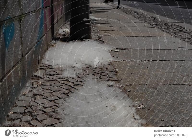 Pappelwolle übersät den Bürgersteig wie Schnee. Pappelblüte Pappelflaum Baumblüte Bürgersteige kopfsteinpflaster weiss urban Frühling Mai Pappelsamen Stadt