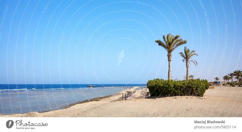 Schöner Strand, Region Marsa Alam, Ägypten. Urlaub Sommer reisen MEER Handfläche entspannen Flucht Sand Wasser Feiertag sich[Akk] entspannen Resort tropisch