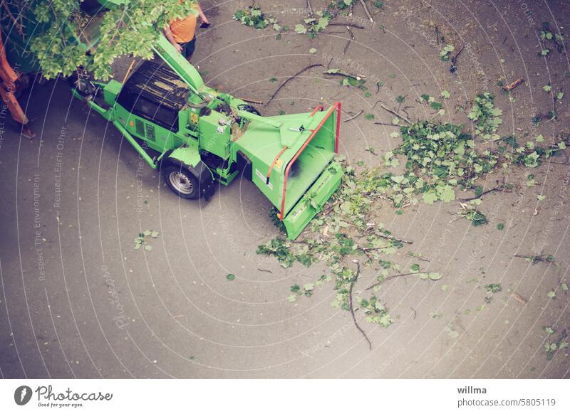 Alles, was nach Stock aussieht, wird geschreddert   😉 Baumschredder Gartenhäcksler Holzhäcksler Gartentechnik Zweige Äste Häcksler häckseln schreddern