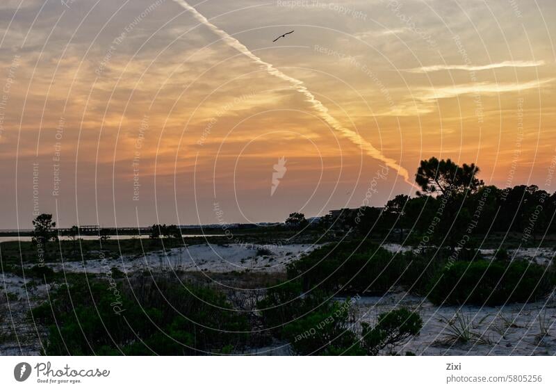 Sonnenuntergang an einem Strand mit Vegetation Sand Meer Abend Dunes Küste Gras