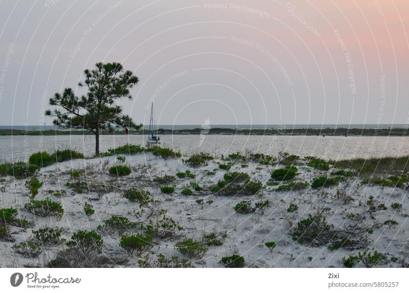 Baum am Strand einer Lagune bei Sonnenuntergang, mit einem Boot im Hintergrund Düne Sand Vegetation weißer Sand