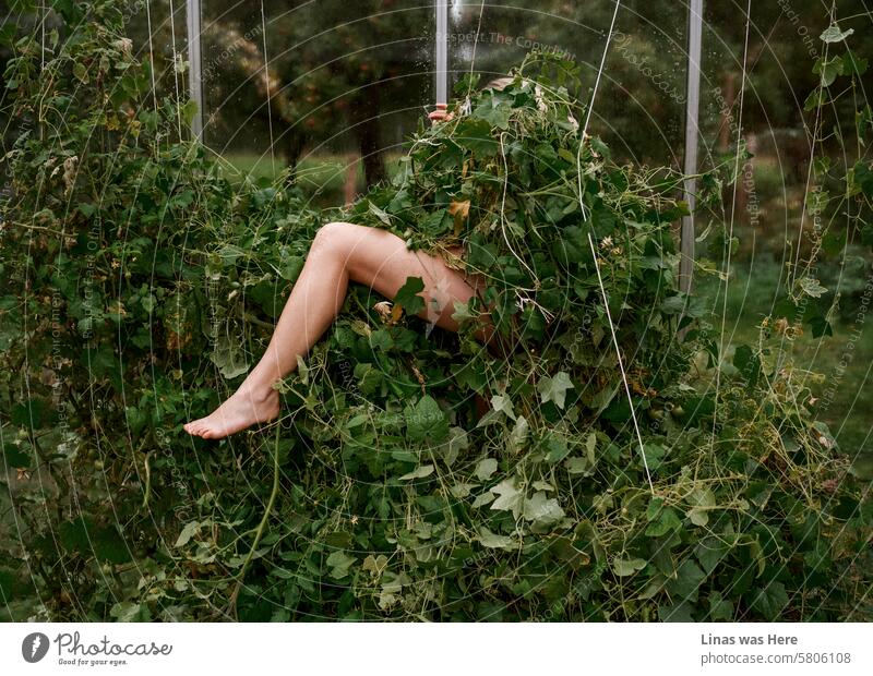 Ein wunderschönes Mädchen, bei dem nur ihre schönen langen Beine zu sehen sind, kämpft in einem Gewächshaus gegen einige Grünpflanzen. Umgeben vom Grün der Natur, schafft sie diese seltsame Szene. Es ist nicht leicht, grün zu sein, aber es ist notwendig.