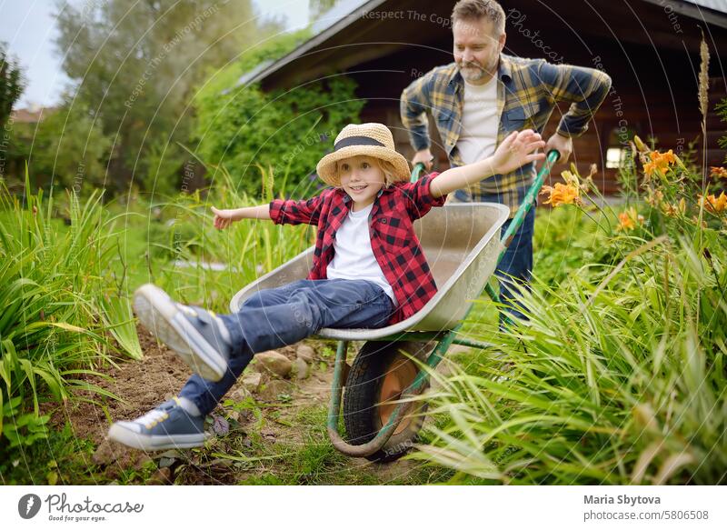 Schubkarre schieben von Papa im heimischen Garten an einem warmen sonnigen Tag. Aktive Spiele im Freien für Familie mit Kindern im Hinterhof Spaß Arbeit Vater