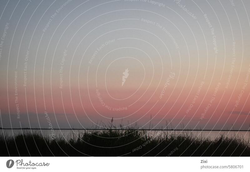 Himmel bei Sonnenuntergang Farben Natur farbenfroh im Freien Wasser Vegetation