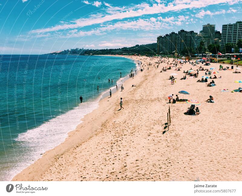 Ein Großteil der Küste von Viña del Mar Strand Menschen Gebäude MEER Leben Sommer Sonne blau genießen Land