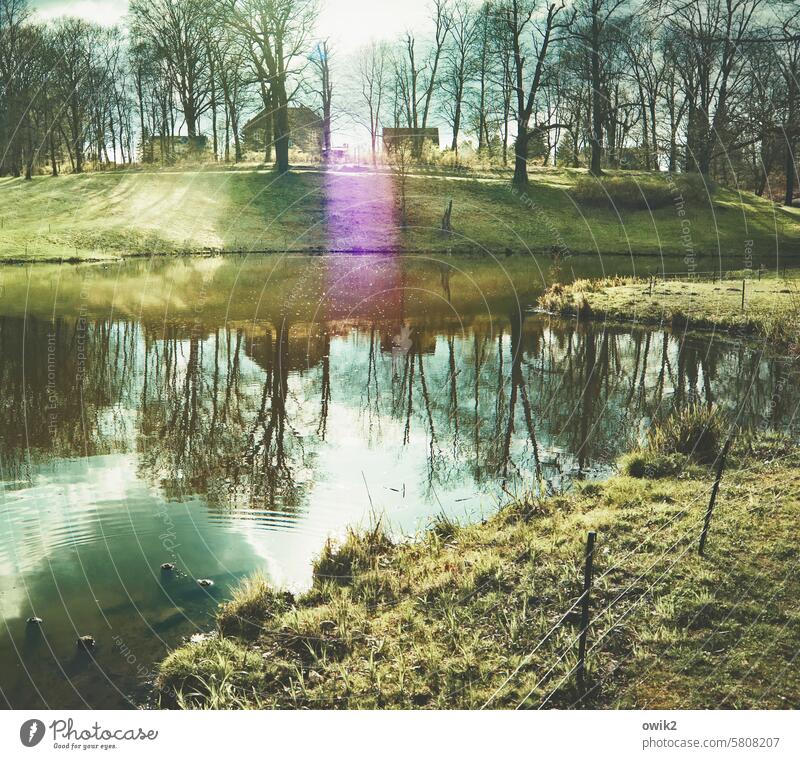 Lichtmoment Park Teich See Seeufer Abhang Hügelseite Häuser Gebäude Bäume Sonnenlicht Lichterscheinung Wasser Reflexion & Spiegelung Natur Wasseroberfläche