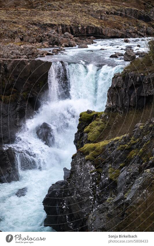 Sveinsstekksfoss / Nykurhylsfoss in Island Wasserfall Landschaft Natur isländisch Felsen strömen Fluss Kaskade fließen Tourismus malerisch natürlich schön