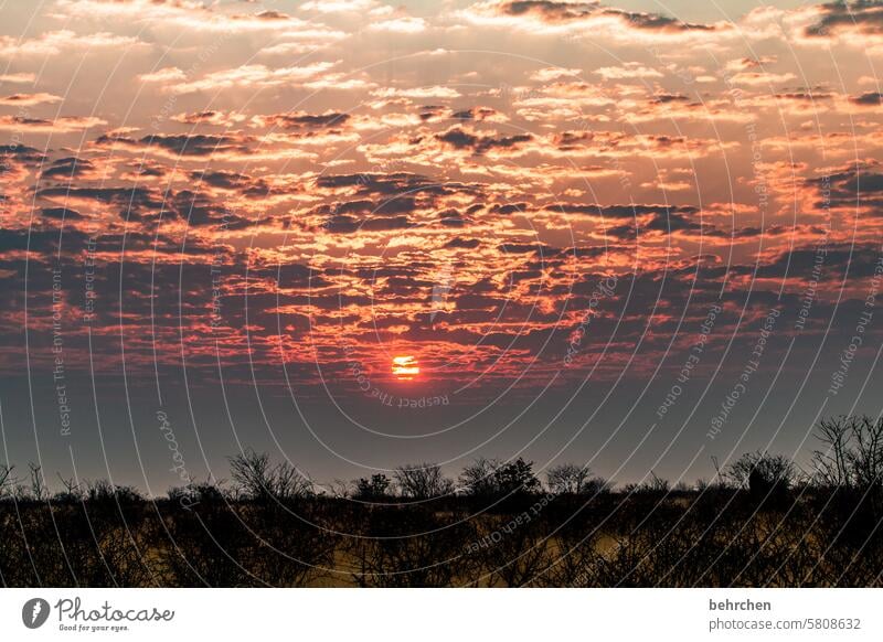 wo wir träumen Glaube Hoffnung Sonnenuntergang Afrika Namibia Ferne Fernweh Farbfoto besonders Himmel traumhaft Abenddämmerung Wolken Sonnenlicht magisch