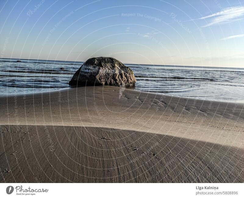 Felsen auf See Ostsee im Freien Tourismus Urlaub Strand Wasser Himmel Küste MEER Natur Atlantikküste Sand Sonne Sonnenlicht Sommerurlaub Sandstrand