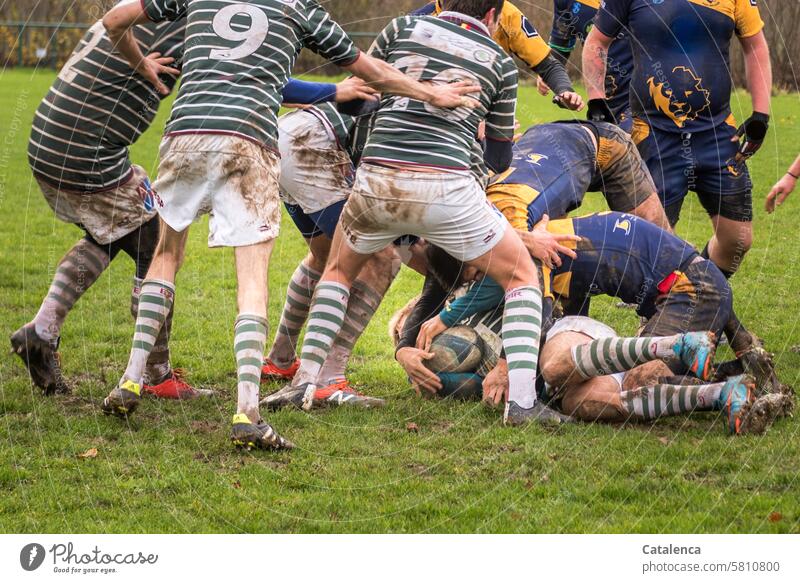 Sprichwörtlich | am Ball bleiben Sport Spiel Rugby Mannschaft Konkurrenz Spieler Aktivität Training Übung Sportbekleidung sportlich Rugbyball Gras Spielfeld