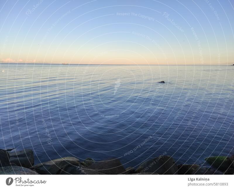 Ostsee Fotografie analog schwarz Landschaft Strand Tourismus Schönes Wetter Meer Wellen Atlantik Himmel reisen Erholung Idylle Küste See Wasseroberfläche