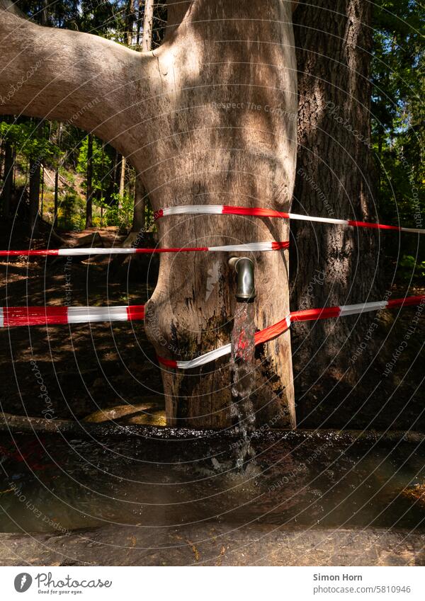 Brunnen mit Quellwasser im Wald, Absperrband signalisiert die Notwendigkeit des Umweltschutzes Quelle Wasser sprudelnd Erfrischung Flatterband