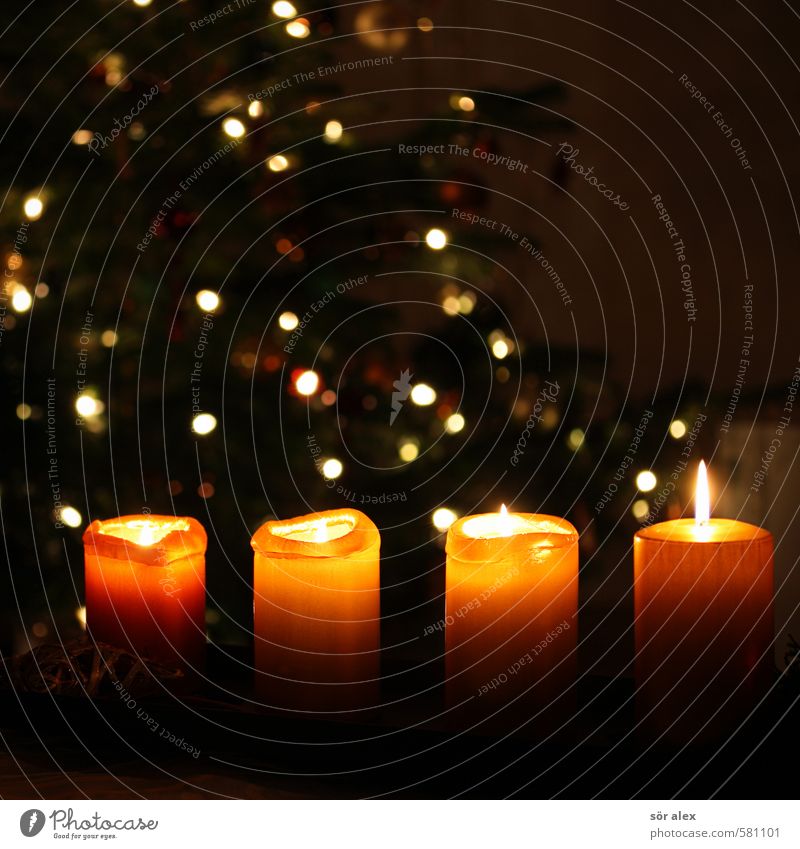 vier Feste & Feiern Weihnachten & Advent Dekoration & Verzierung Kerze Adventskranz Lichterkette orange Gefühle Stimmung Zufriedenheit Vorfreude Zusammensein