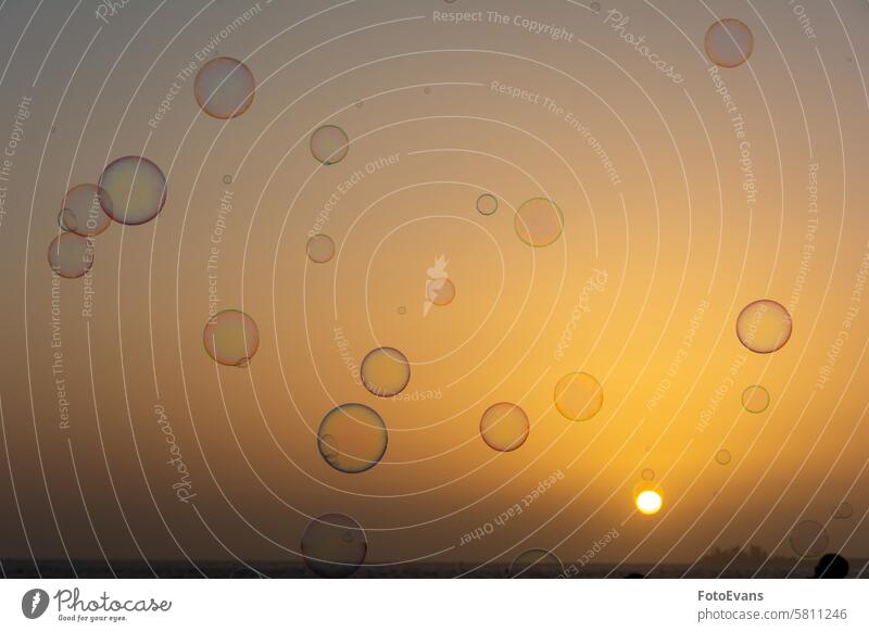 Viele Seifenblasen am Himmel bei Sonnenuntergang Blasen Reflexion & Spiegelung abstrakt Regenbogenfarben liquide Farbenspiel Hintergrund orange Luftblase Air