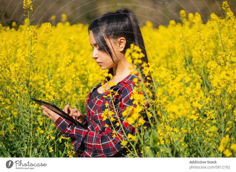 Landwirtschaftlicher Techniker bei der Inspektion eines Rapsfeldes Ackerbau Agronomin Analysieren Biografie Biologie Biotechnologie Botanik Brassica napus