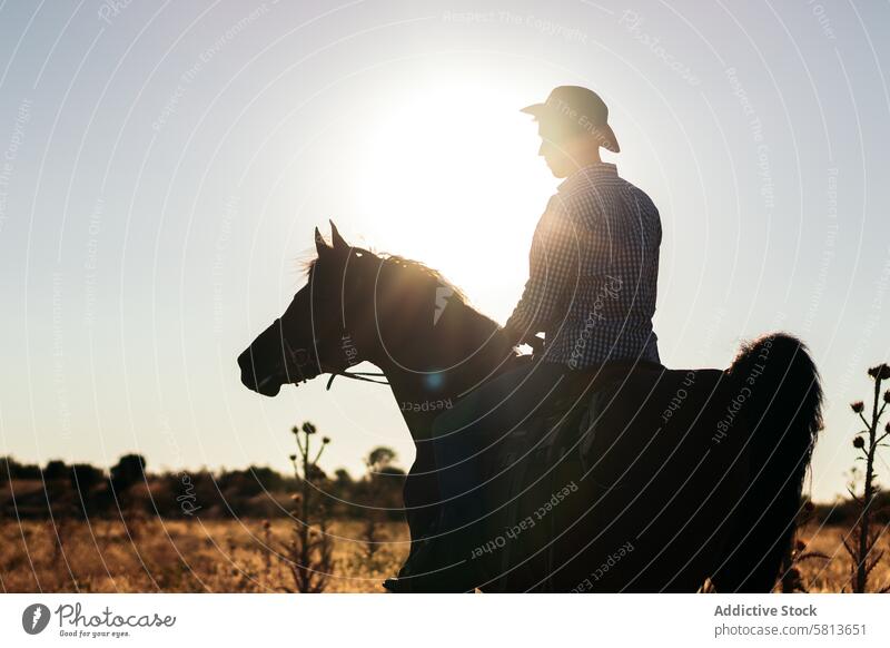 Mann mit Hut reitet auf einem Pferd in der Landschaft bei Sonnenuntergang Natur jung Tier Ranch Cowboy Person pferdeähnlich Reiten schön Reiterin Haustier Feld