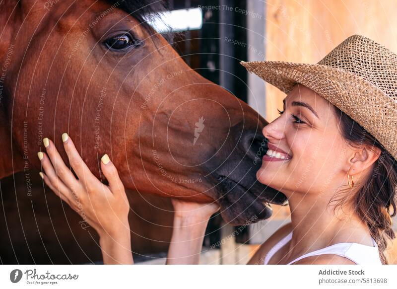 Frau kümmert sich um ihr braunes Pferd im Stall Natur Tier Reiterin Bauernhof pferdeähnlich striegeln Pferdestall Hengst Ranch Viehbestand Freund Haustier