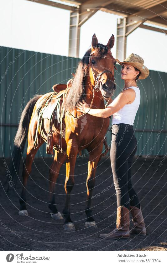 Frau kümmert sich um ihr braunes Pferd in einem Reitsportzentrum Natur Tier Reiterin Bauernhof pferdeähnlich striegeln Pferdestall Hengst Ranch Viehbestand