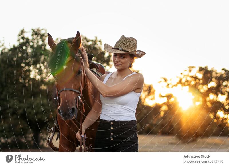 Junge Frau mit Hut geht mit ihrem Pferd in der Landschaft bei Sonnenuntergang spazieren Natur jung Tier Ranch Cowgirl Cowboy Person pferdeähnlich Reiten schön