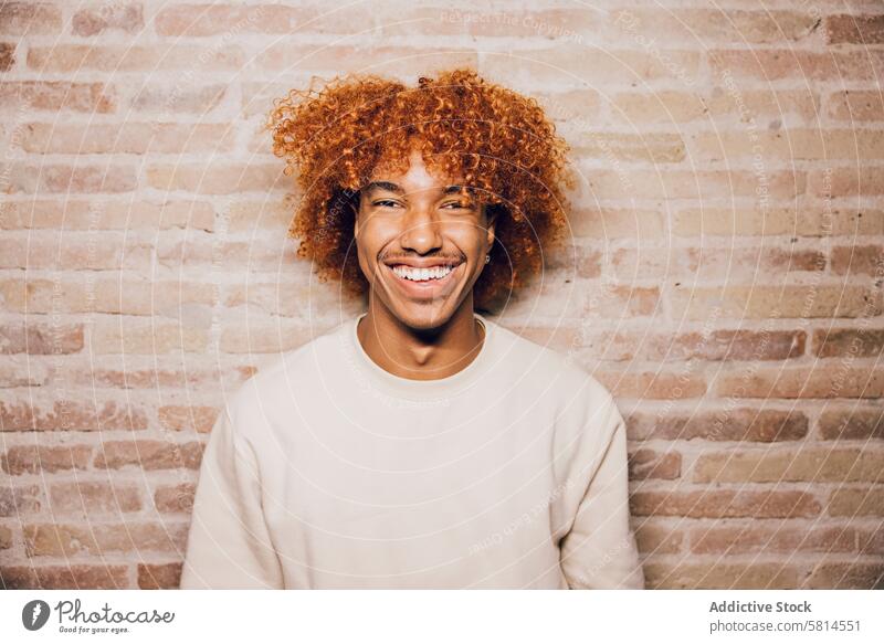 Porträt eines jungen Mannes vor einem Backsteinmauer-Hintergrund. Kopfschüsse Lachen erwachsener Mann afroamerikanische Ethnizität Afro-Look Afrofrisur