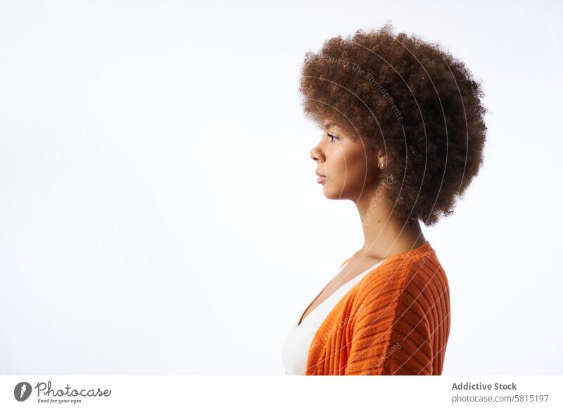 Porträt einer jungen Latina-Frau mit Afro-Haar Seitenansicht isoliert auf weißem Hintergrund lateinamerikanisch Afro-Look Behaarung Atelier vereinzelt Jacke