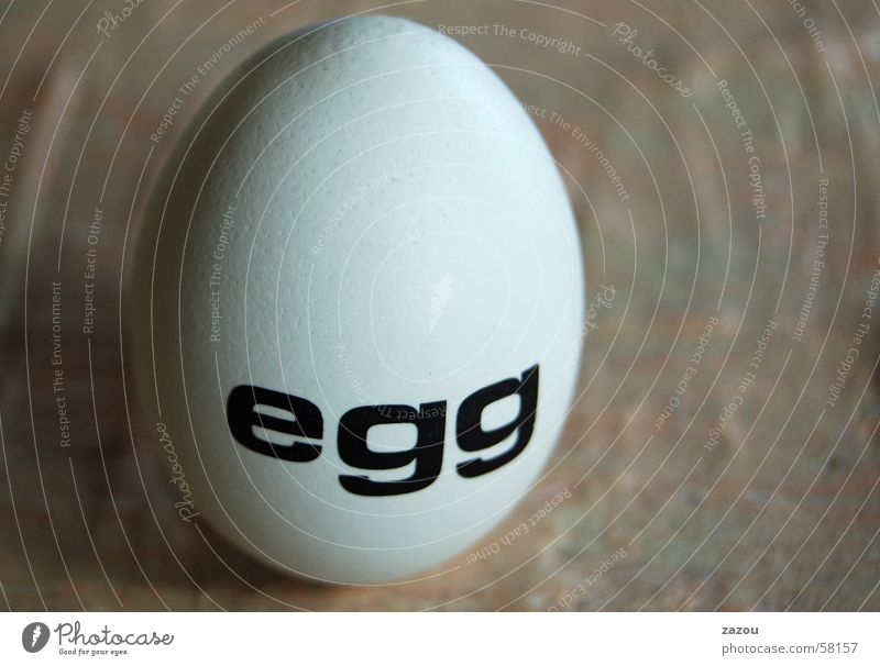 ein Ei Ostern Osterei Kunst Skulptur Eierschale Haushuhn Ernährung Schriftzeichen Kolumbus Denkmal