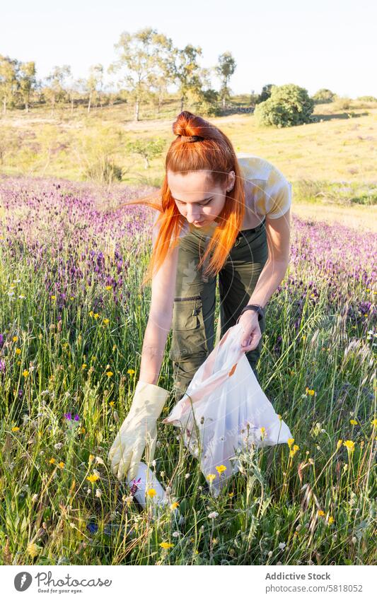 Frau sammelt Müll in einem blühenden Feld auf Säuberung Umwelt Erhaltung Wildblume Grün Tasche Freiwilliger im Freien umweltfreundlich nachhaltig Natur Pflege