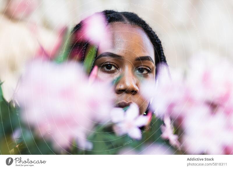 Schwarze Frau hinter frischen Blumen Sommer Schönheit natürlich Blüte Flora Vorschein jung ethnisch schwarz Afroamerikaner Angebot Stil Pflanze Blütezeit