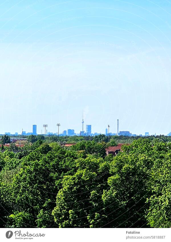 Ich stehe auf dem Dach eines Lost Places in Köpenick und habe einen tollen Blick zum Fernsehturm Berlin Hauptstadt Stadt Bauwerk Skyline Berliner Fernsehturm