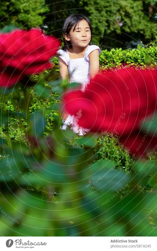 Junges Mädchen genießt einen Garten in Europa asiatisch Urlaub rot Roséwein grün üppig (Wuchs) spielerisch posierend Kind reisen Tourismus Feiertag Freizeit