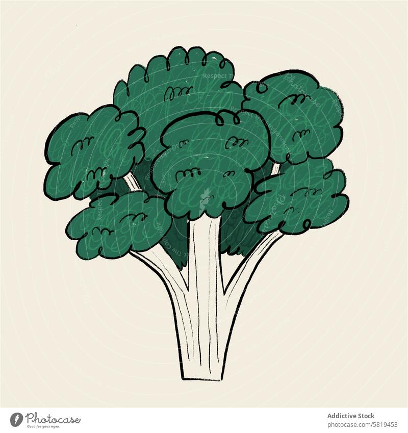 Illustration von grünem Brokkoli Grafik u. Illustration Gemüse handgezeichnet texturiert digital Lebensmittel Gesundheit Ernährung stilisiert künstlerisch