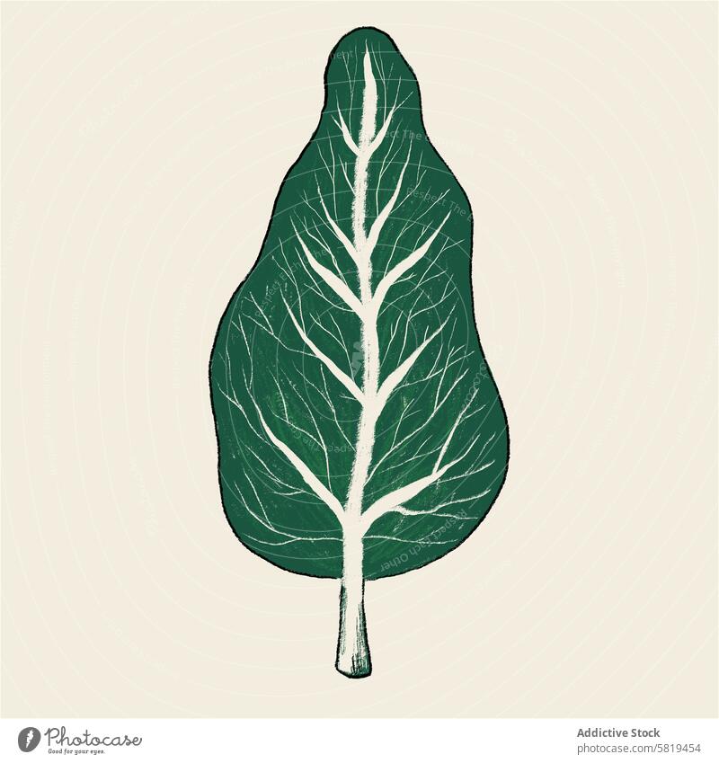 Spinatblatt Illustration in einzigartiger Birnenform Grafik u. Illustration Blatt Pflanze botanisch Kunst skurril kreativ Design handgezeichnet Form Mischung