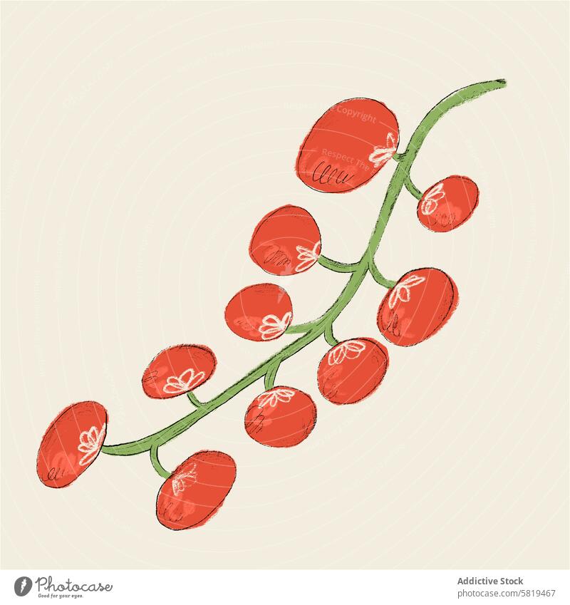 Illustration eines Zweigs mit Kirschtomaten Grafik u. Illustration Ast reif rot Gemüse handgezeichnet stilisiert digital beiger Hintergrund Lebensmittel