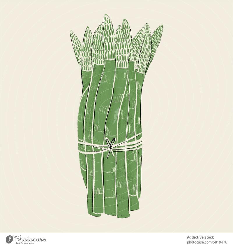 Illustration eines Spargelbündels Grafik u. Illustration Gemüse handgezeichnet grün Schnur gebunden Haufen Bündel Spieße produzieren Lebensmittel Pflanze