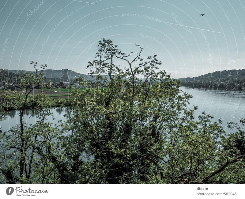 Idyllische Flusslandschaft mit AKW Landschaft Rhein Natur Wasser Umwelt Himmel Idylle Kernkraftwerk Baum Flussufer Schönes Wetter Sonnenlicht Auenlandschaft