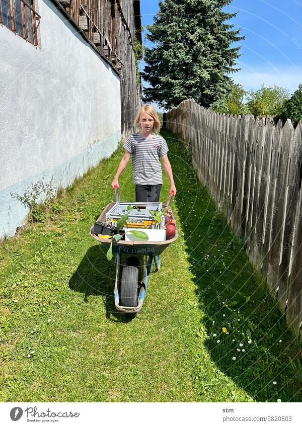 Gartenhelfer Kinder Gartenarbeit Gemüsegarten Gemüsepflanze grün Bioprodukte Gemüsebeet Pflanzen Helfen Schubkarre Kindheit Bauernhof Bauernhofszene pflanzen