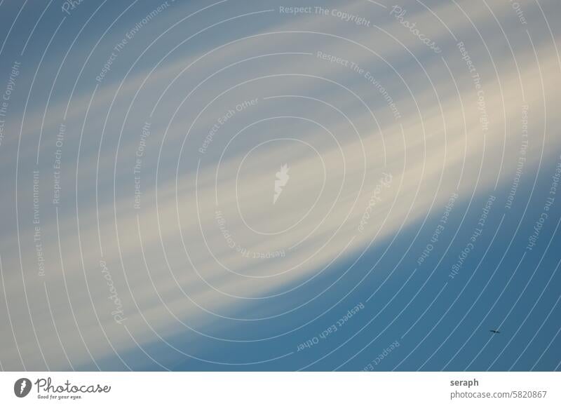 Wolke wolke meteorologie cirrus weich himmel wetter cirrostratus hellblau leicht luftig aerosol wasserdampf soft troposphäre vogel detail schleier