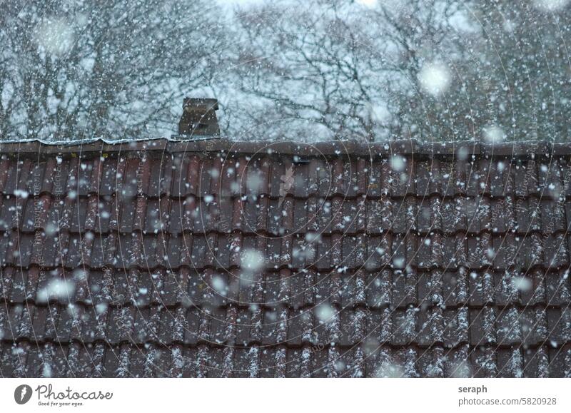 Winterdach Stimmung Schneeflocke Wetter Gebäude Himmel Haus Schneefall saisonbedingt frostig dumpf Fliesen u. Kacheln Architektur Schornstein trüb dunkel Baum